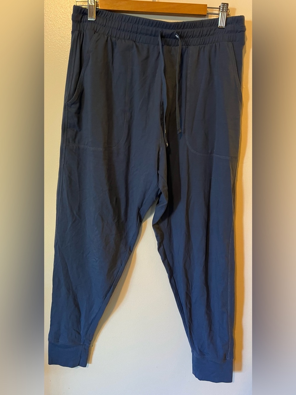 Pair of Thieves Mens Supersoft Lounge Pants Jogger Blue Size M